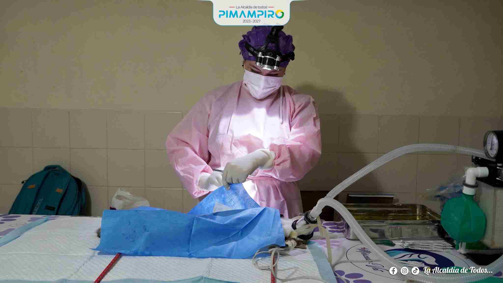 PROMOVEMOS EL BIENESTAR ANIMAL CON MÁS CAMPAÑAS DE ESTERILIZACIÓN EN EL CANTÓN PIMAMPIRO